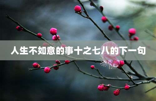 人生不如意的事十之七八的下一句
