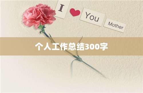 个人工作总结300字