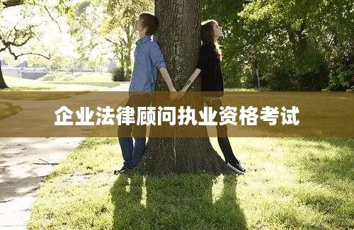 企业法律顾问执业资格考试