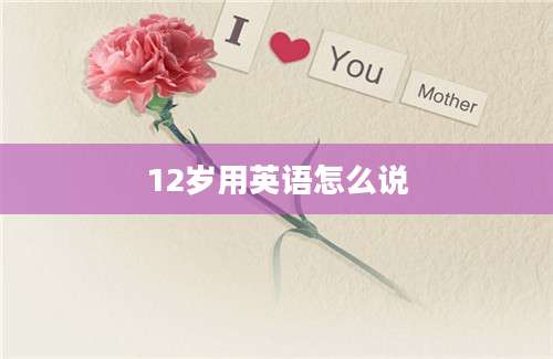 12岁用英语怎么说