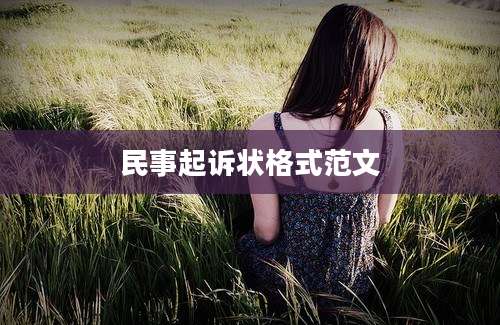 民事起诉状格式范文