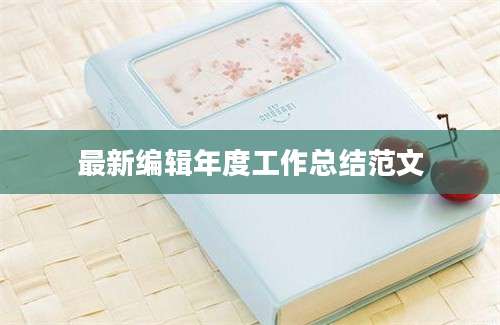 最新编辑年度工作总结范文