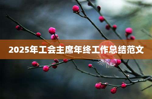 2025年工会主席年终工作总结范文