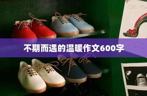 不期而遇的温暖作文600字