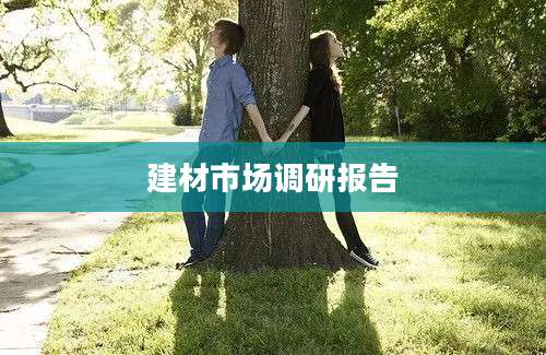 建材市场调研报告