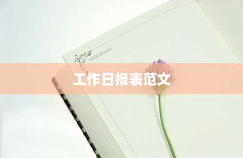 工作日报表范文
