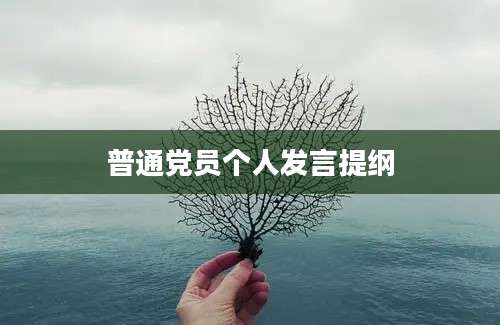 普通党员个人发言提纲