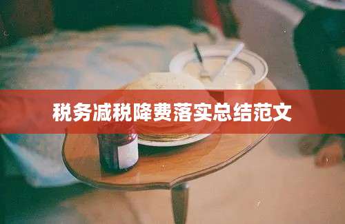 税务减税降费落实总结范文