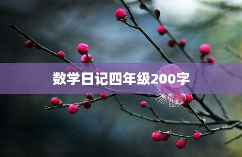 数学日记四年级200字