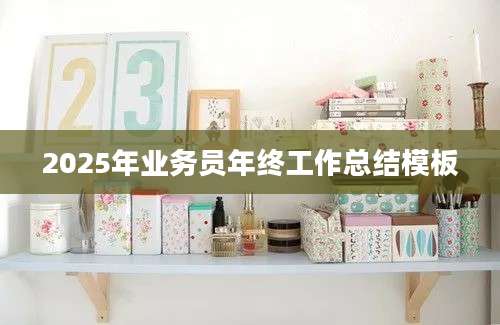 2025年业务员年终工作总结模板