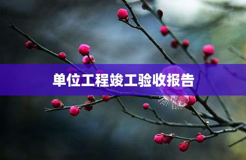单位工程竣工验收报告