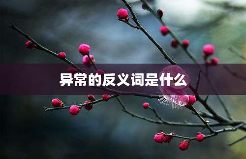 异常的反义词是什么