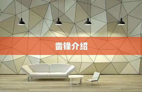 雷锋介绍