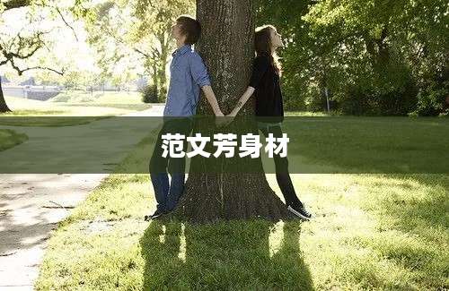 范文芳身材