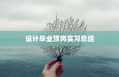 设计毕业顶岗实习总结