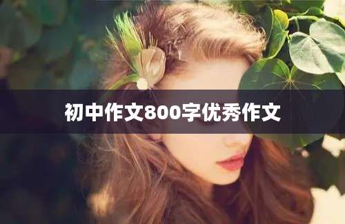 初中作文800字优秀作文