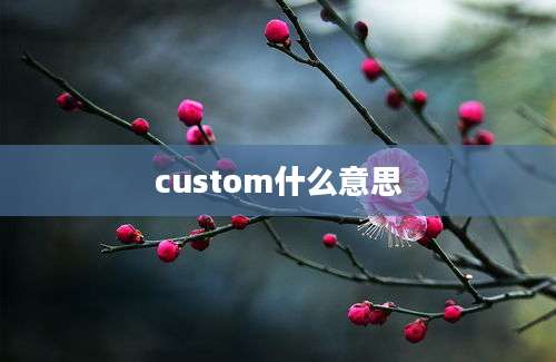 custom什么意思