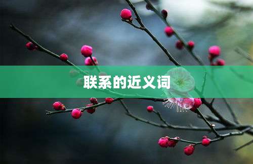 联系的近义词