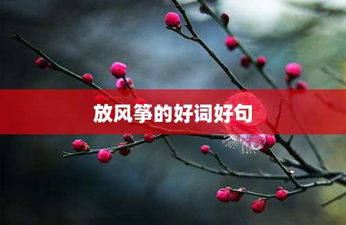 放风筝的好词好句