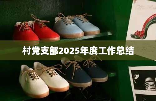 村党支部2025年度工作总结
