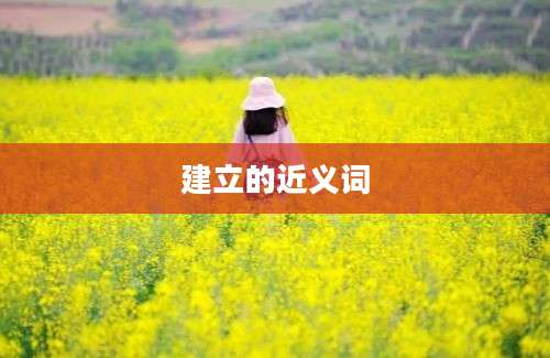 建立的近义词