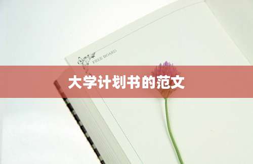 大学计划书的范文