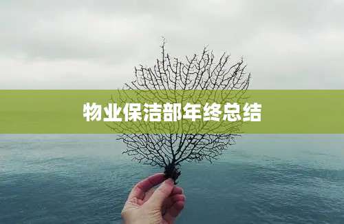 物业保洁部年终总结