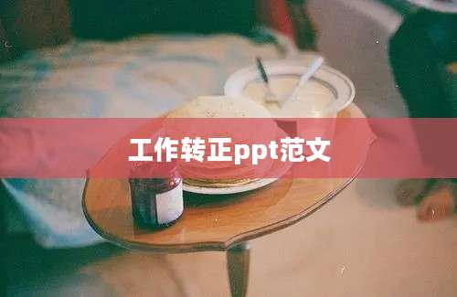 工作转正ppt范文