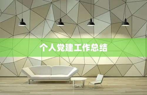个人党建工作总结