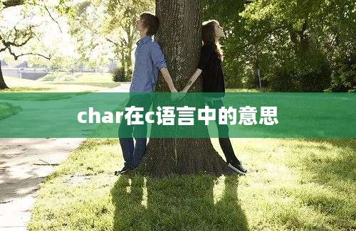 char在c语言中的意思