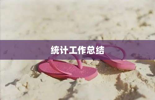 统计工作总结