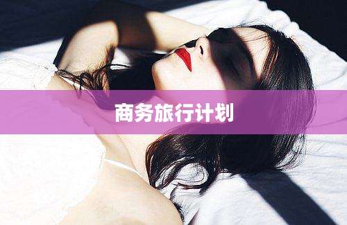 商务旅行计划