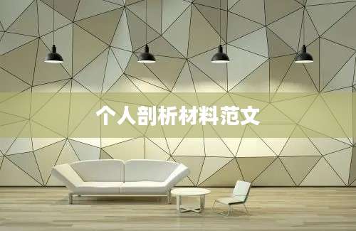 个人剖析材料范文