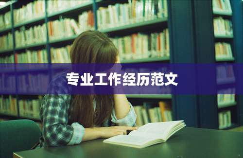 专业工作经历范文