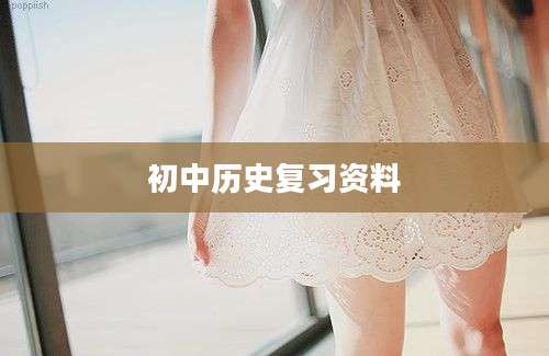 初中历史复习资料