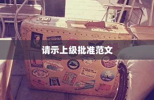 请示上级批准范文