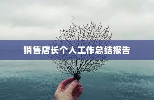 销售店长个人工作总结报告