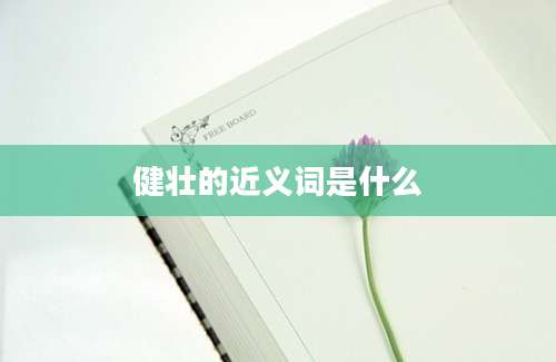 健壮的近义词是什么
