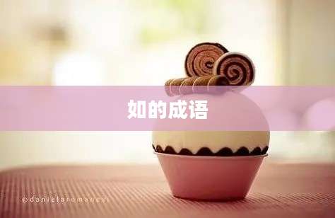 如的成语