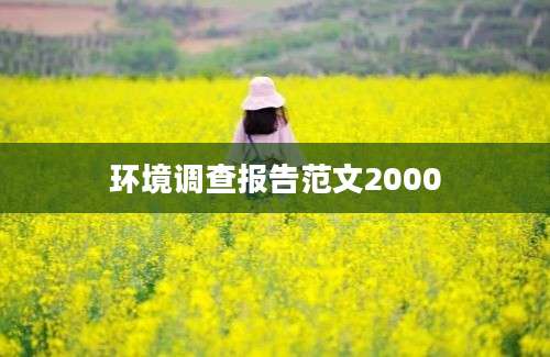 环境调查报告范文2000