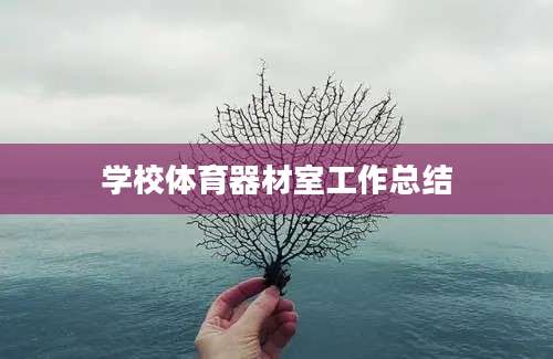 学校体育器材室工作总结
