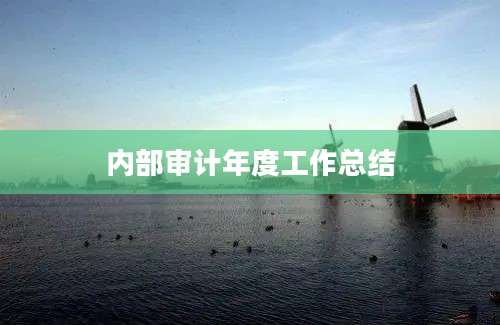 内部审计年度工作总结