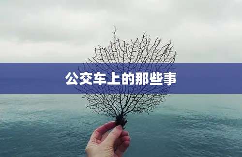 公交车上的那些事