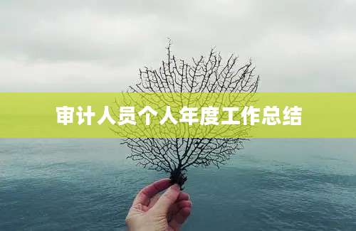 审计人员个人年度工作总结