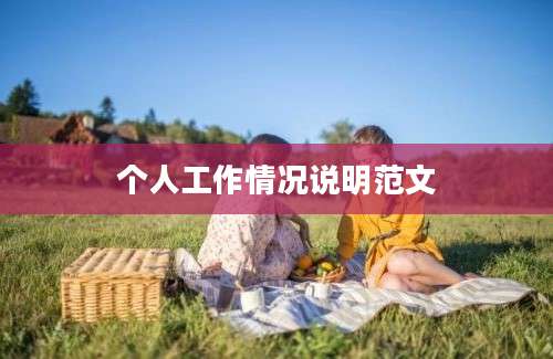 个人工作情况说明范文