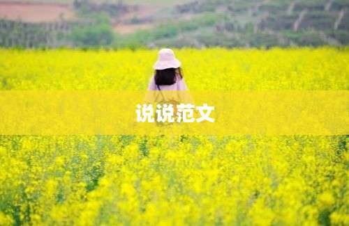 说说范文