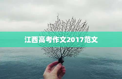 江西高考作文2017范文