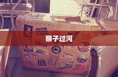 猴子过河