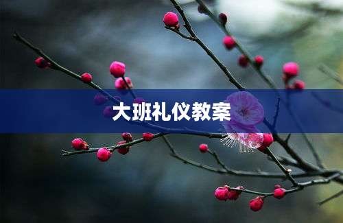 大班礼仪教案