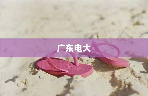 广东电大